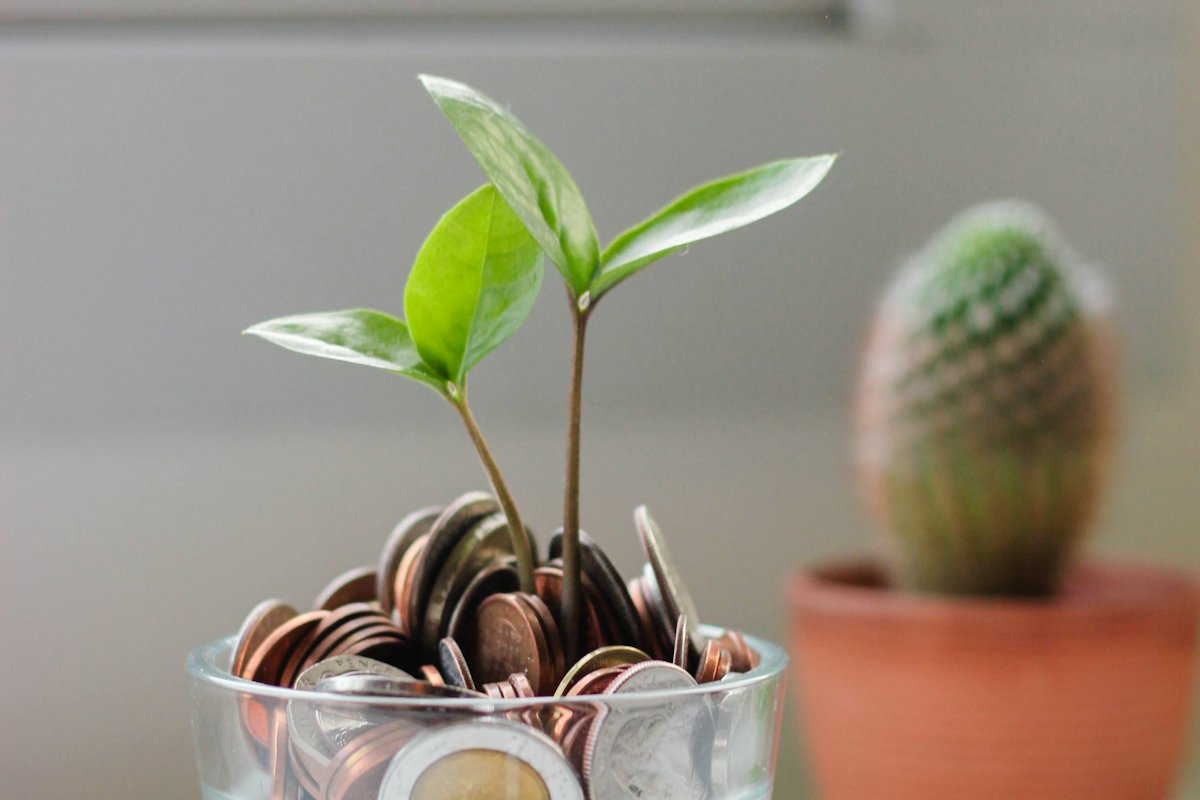 Seedlings growing from a glass of coins beside a cactus