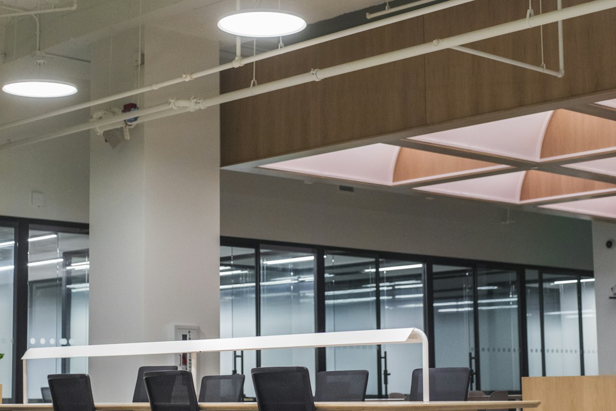 Bright office with a warm wooden ceiling