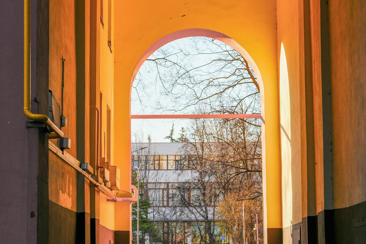 Warm orange archway framing trees
