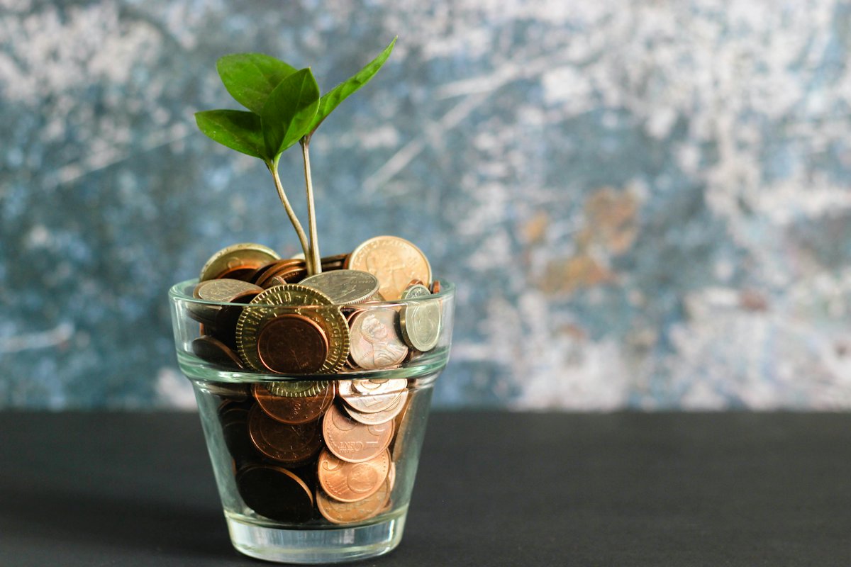 Seedling growing out of a jar full of coins