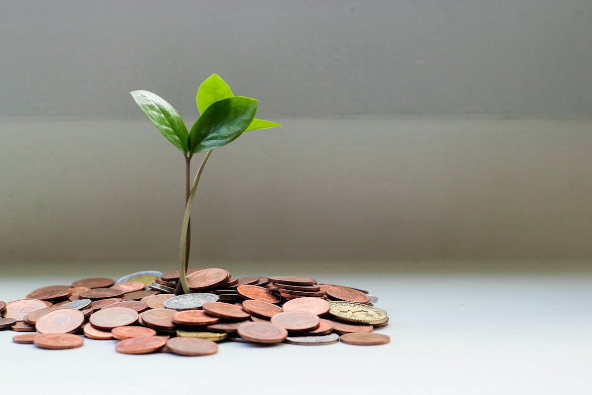 Seedling growing from a pile of coins