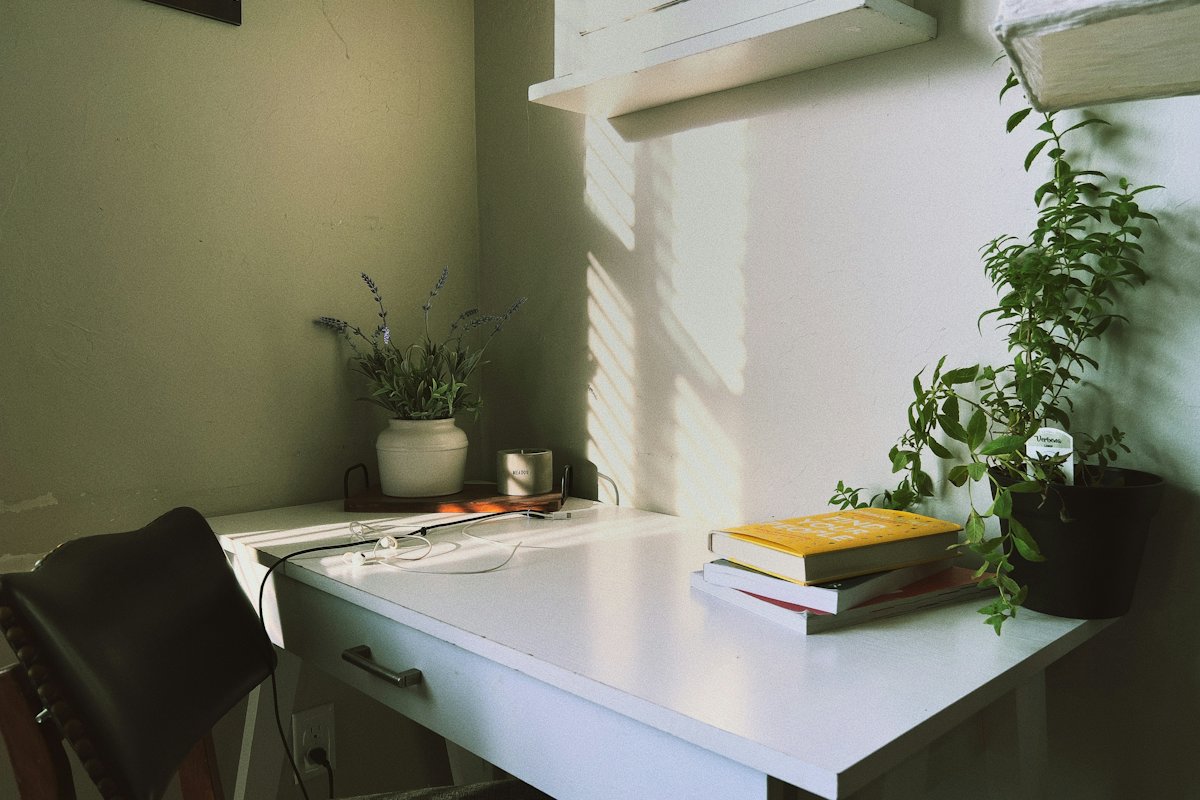 Quiet study desk with books and plants by a window